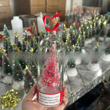 Recordable Christmas Message Ornament